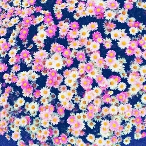 Smile more. Worry less. — #background #flores #flowers #vintage ...
