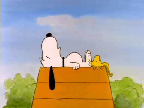 Snoopy GIFs on Giphy