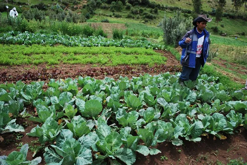 Soluciones en Agricultura Sostenible « Chirapaq