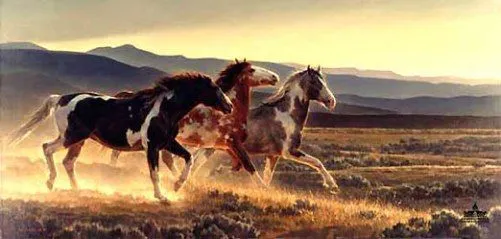 Paisajes con caballos salvajes - Imagui