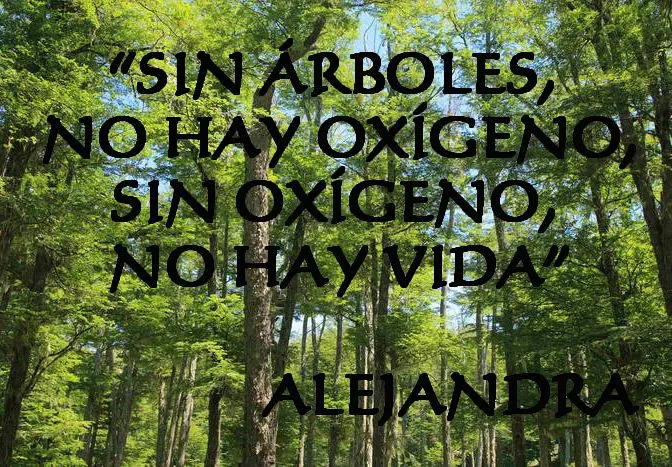 SOÑAR LA VIDA: FRASES SOBRE LA NATURALEZA, FRASES SOBRE LOS ...