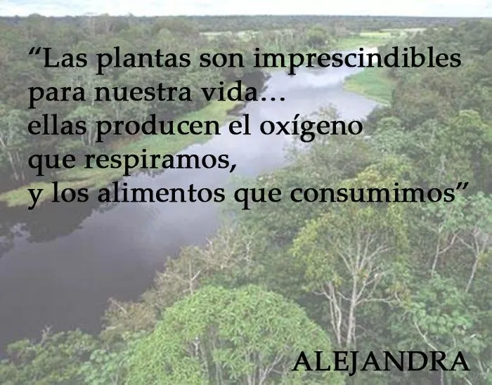 SOÑAR LA VIDA: FRASES SOBRE LA NATURALEZA, FRASES SOBRE LOS ...