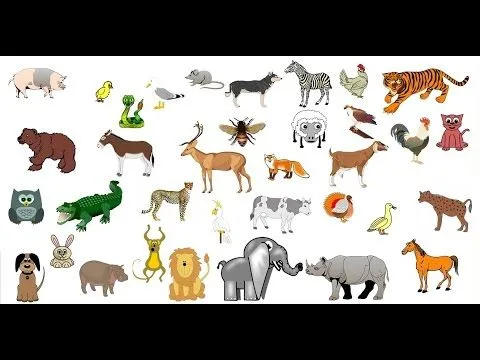 Los sonidos de los animales para niños de 1 a 5 años (ANIMADOS ...