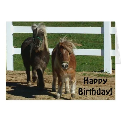 Tarjeta de cumpleaños miniatura linda del caballo | Zazzle