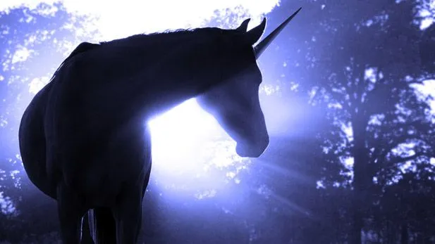 SparkLife » There May Not Be Unicorns, But At Least There's the ...