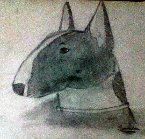Bull terrier dibujado a lapiz - Imagui