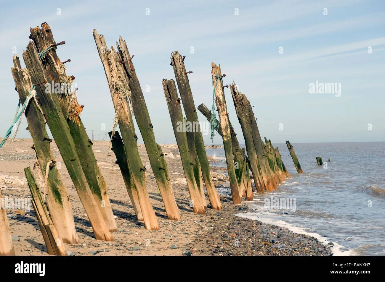 Spurn Point, Remains Of An Old Sea Defence System With Rusty Nails ...