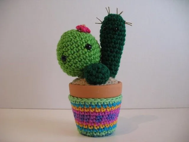 Squishy Cacti - a gallery on Flickr