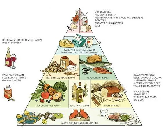 Stormfit y la dieta de la zona PARTE I. Las pirámides ...