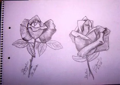 sueños_que_despiertan: Bocetos a lápiz: rosas y ojo