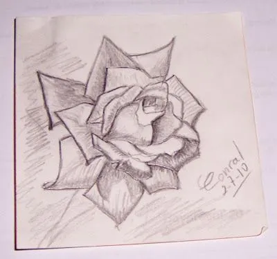 sueños_que_despiertan: Dibujos de rosas