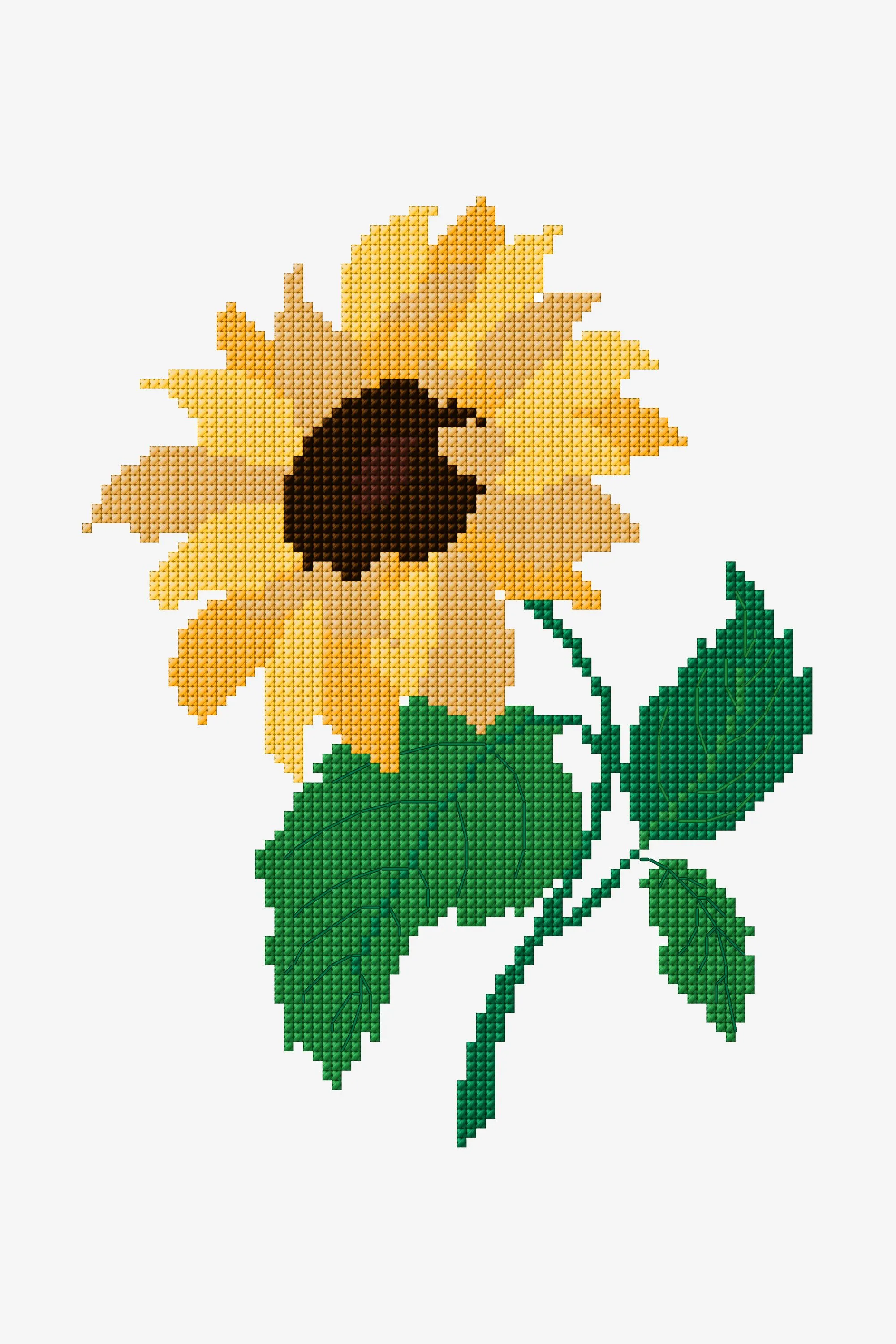 Sunflower - DMC