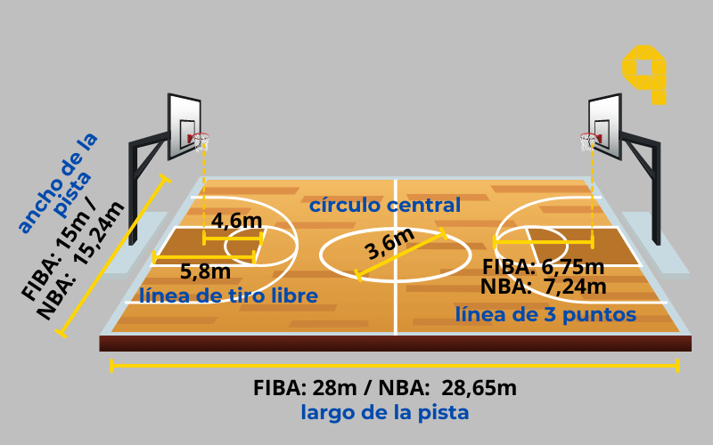 ▶️ Superficies de Canchas de Baloncesto Medidas FIBA y NBA