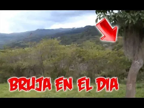 Supuesta Bruja acosa jovenes en bosque de colombia | Videos de ...