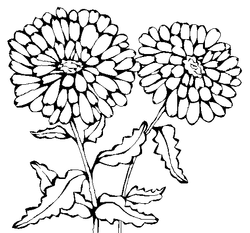 Surfer style flower coloring page - Coloringcrew.com