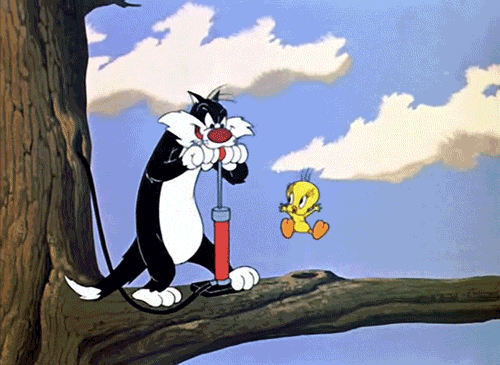 Sylvester The Cat GIFs on Giphy