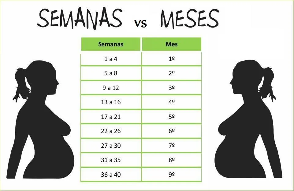 Tabla: SEMANAS de embarazo 'Vs' MESES de embarazo | Embarazo- Tabla: SEMANAS de embarazo 'Vs' MESES de embarazo | Embarazo-