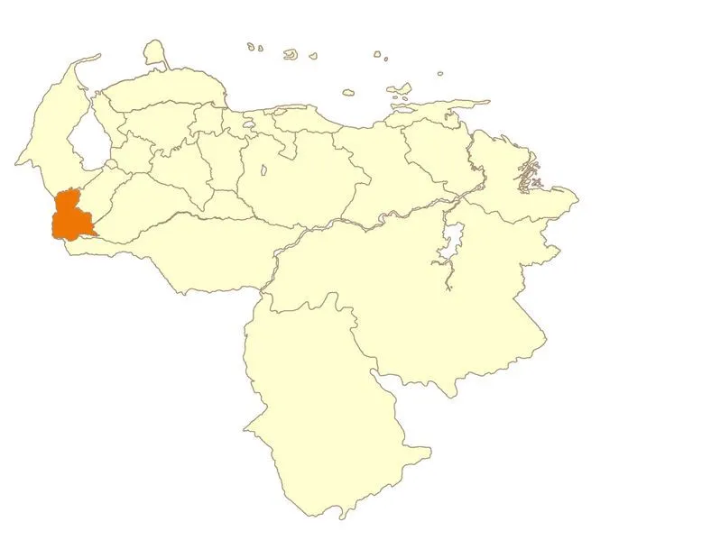 Táchira - Venezuela Tuya