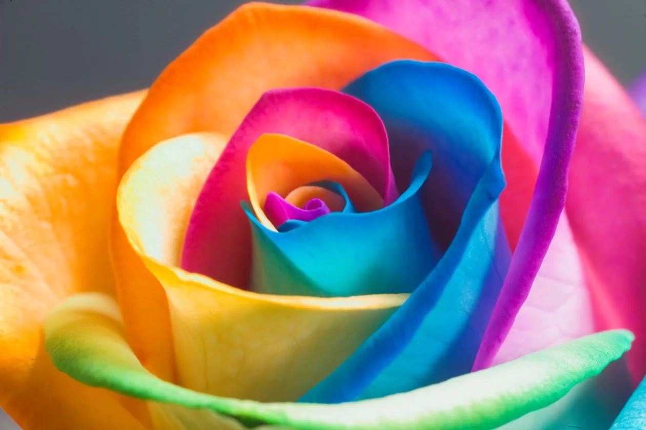 TAG – Los colores del arcoiris | Just a Nailaholic! TAG – Los colores del arcoiris | Just a Nailaholic!