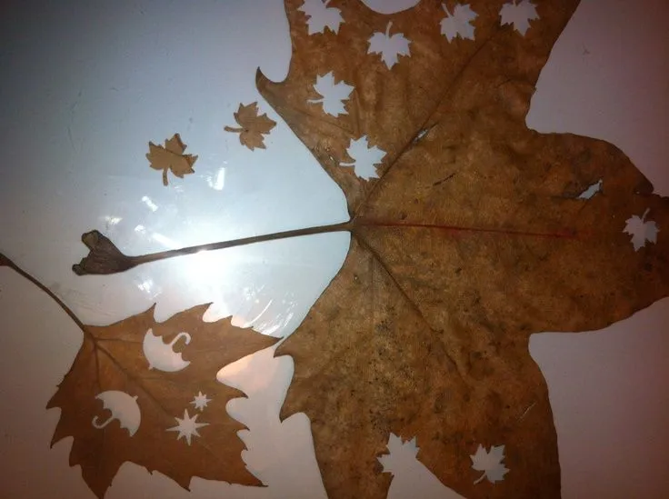 Taladros en hojas secas de otoño, ideal para decorar albumes ...