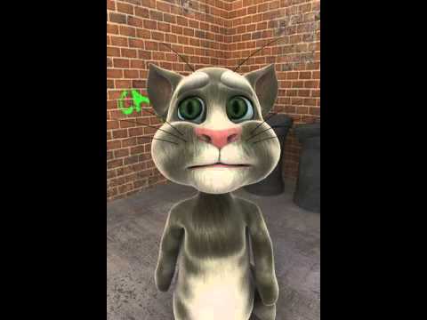 Talking Tom, el gato que repite lo que hablas | La Loca de los Gatos