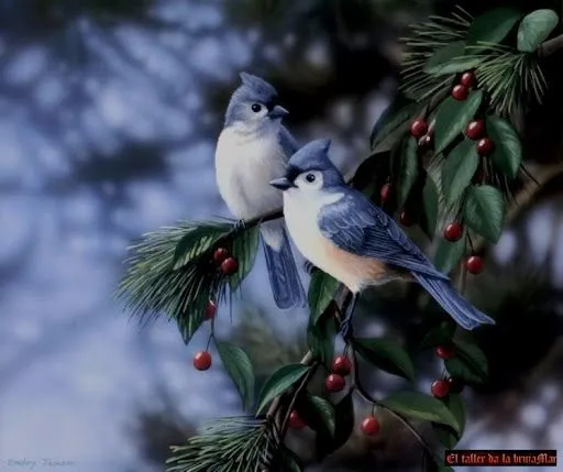 El taller de la brujaMar: Fondos con pájaros y aves en HD El taller de la brujaMar: Fondos con pájaros y aves en HD