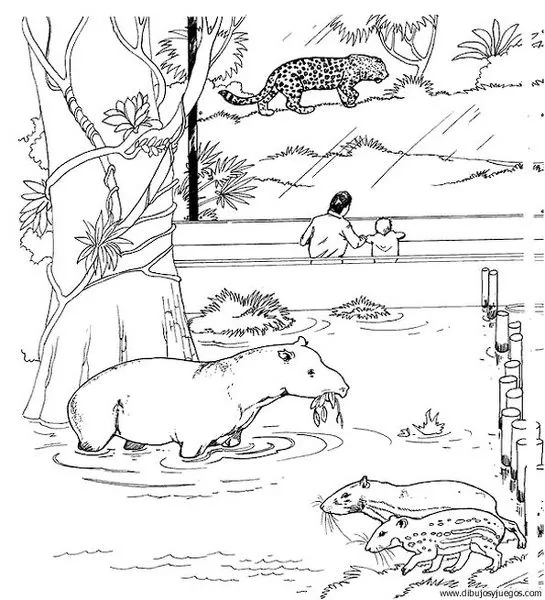 tapir-01 | Dibujos y juegos, para pintar y colorear