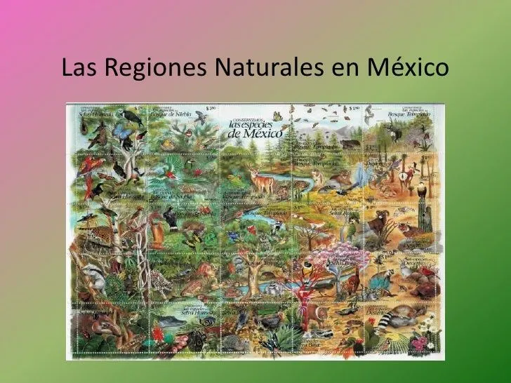 MIS TAREAS DE KAREN: REGIONES NATURALES