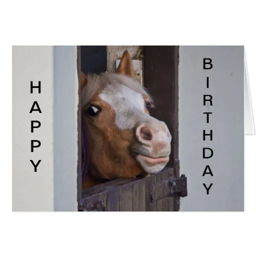Tarjeta chistosa del feliz cumpleaños del caballo | Zazzle