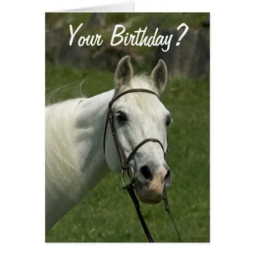 Tarjeta de cumpleaños del caballo blanco | Zazzle