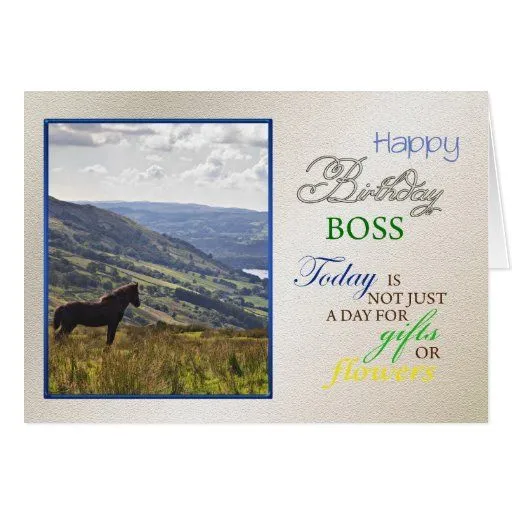 Una tarjeta de cumpleaños del caballo para el jefe | Zazzle