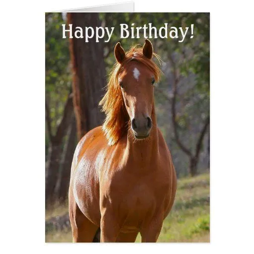 Tarjeta del feliz cumpleaños del caballo para los | Zazzle