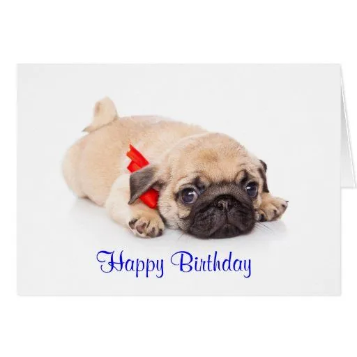 Tarjeta del feliz cumpleaños del perro de perrito | Zazzle