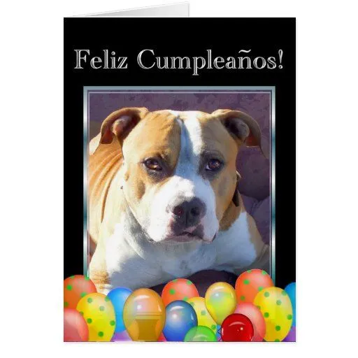 Tarjeta del perro del pitbull del feliz cumpleaños | Zazzle