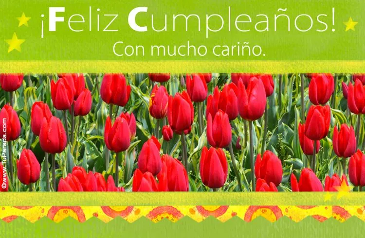 Tarjeta de cumpleaños con tulipanes. Flores, ver tarjetas ...
