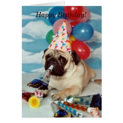 Tarjetas gratis de cumpleaños con perro pug - Imagui