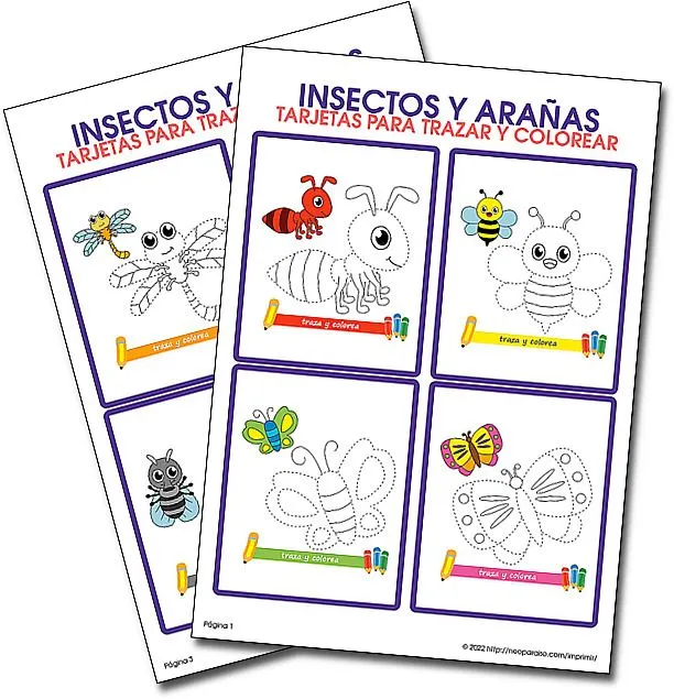 Tarjetas de Insectos y Mariposas para Trazar y Colorear PDF