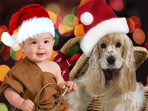 postales de navidad con movimiento gifs MEMES Pictures postales de navidad con movimiento gifs MEMES Pictures