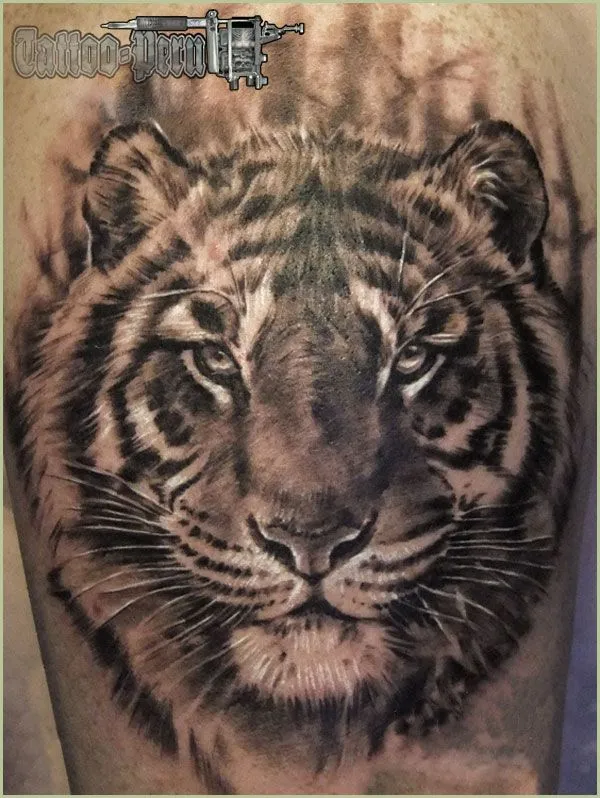 tattoo peru: tatuaje de "el Tigre de Bengala"