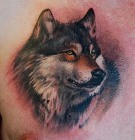 Lobo tattooS - Imagui