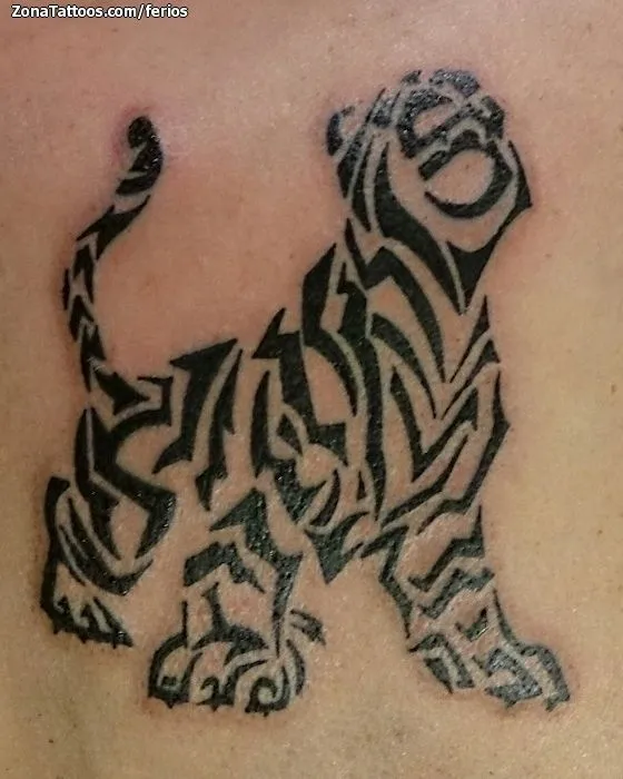 Tatuaje de Ferios - Tigres Tribales Animales