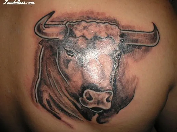 Tatuaje de filotattoo - Toros Animales
