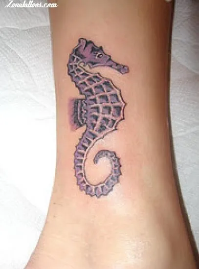 Tatuaje de kamikaze34 - Caballitos de mar Animales