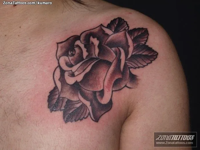Tatuajes rosa negra - Imagui