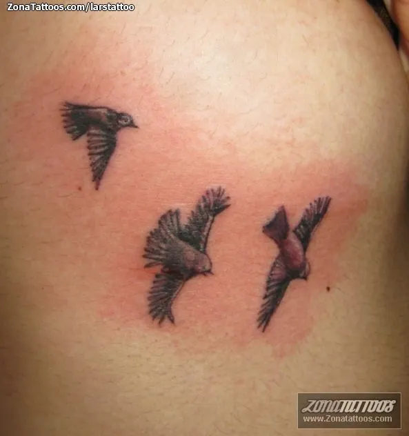 Tatuaje de larstattoo - Aves Animales
