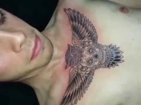 tatuaje en pecho buho con calavera - YouTube