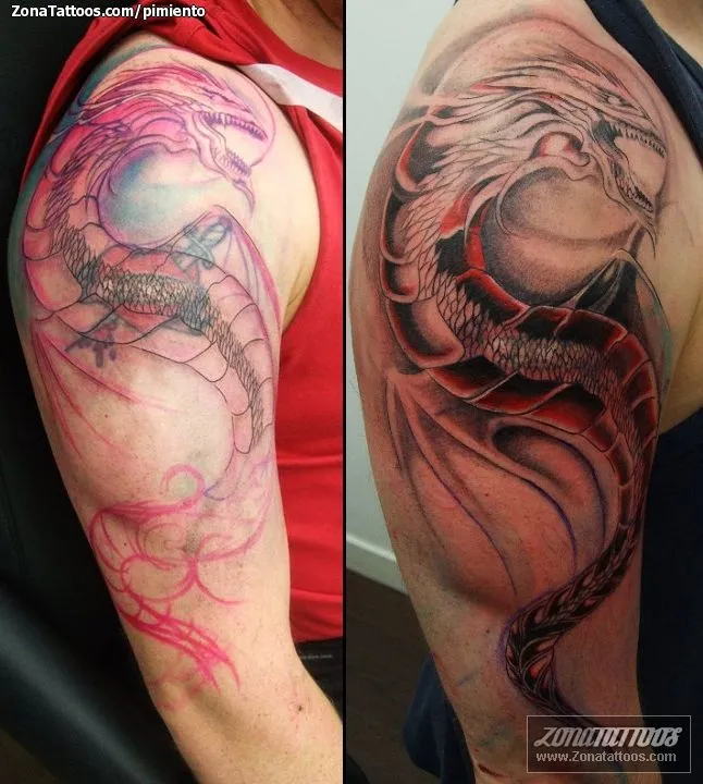 Tatuaje de pimiento - Dragones Fantasía Cover Up