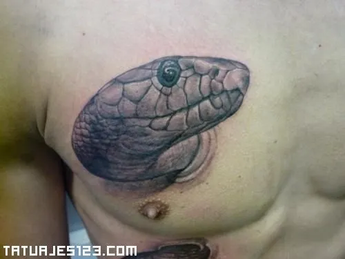 tatuaje-serpiente-en-pecho.jpg