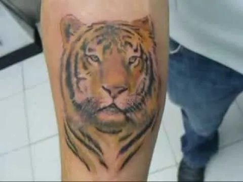 Tatuaje Tigre Color - YouTube