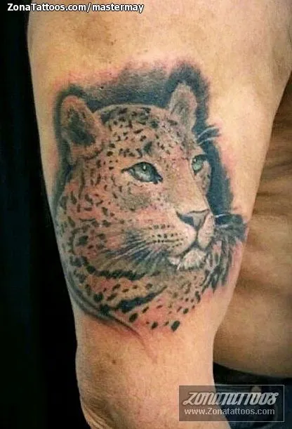 Tatuajes y diseños: Leopardos